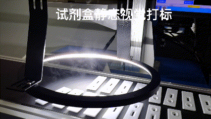 圖片5
